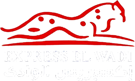 إكسبريس الوادى